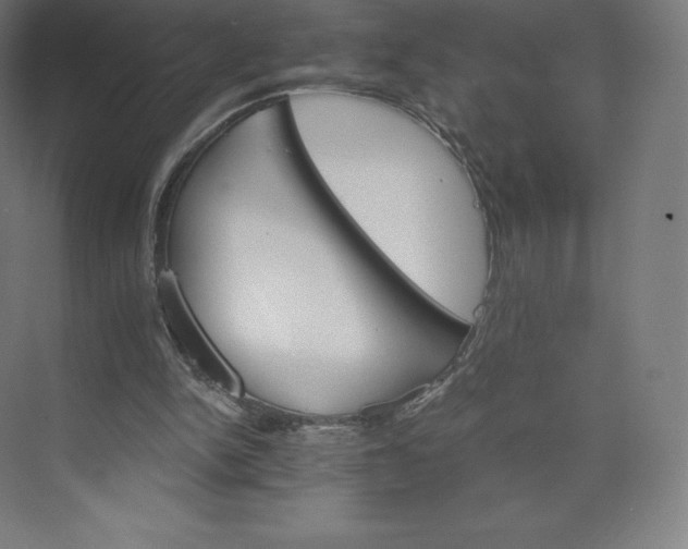 X0000074000150200609061032