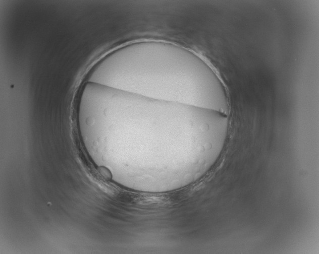 X0000074000151200609061032