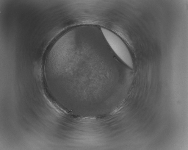 X0000074000156200609061033