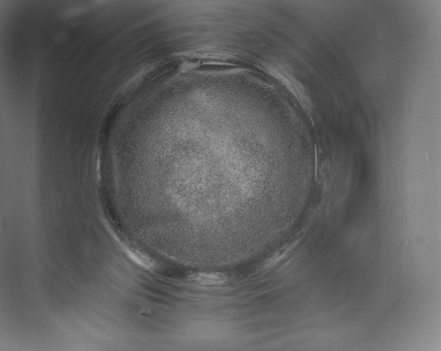 X0000074000157200609061033