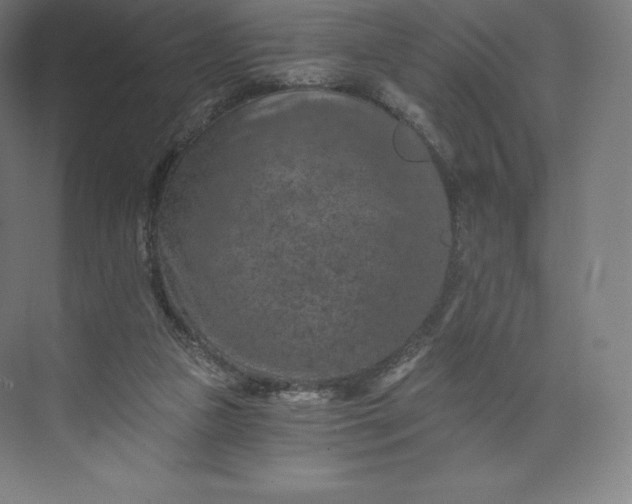 X0000074000161200609061033