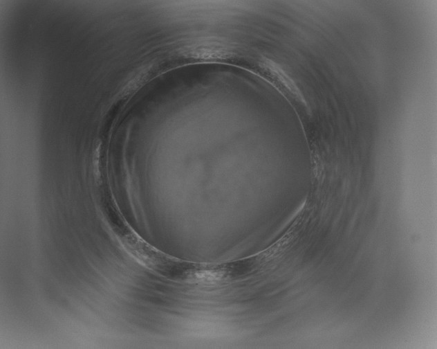 X0000074000163200609061033