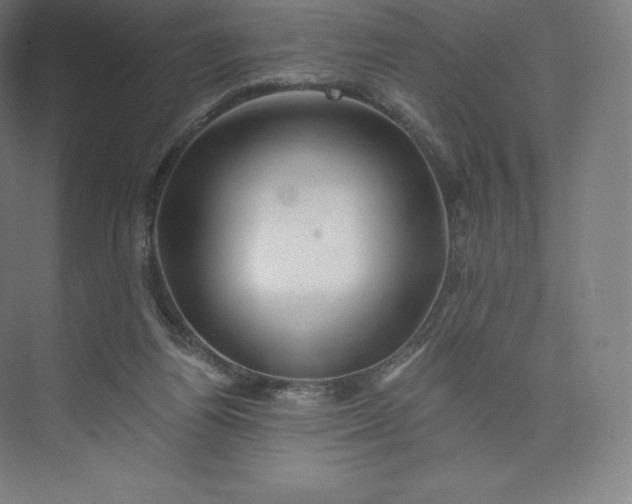 X0000074000164200609061033