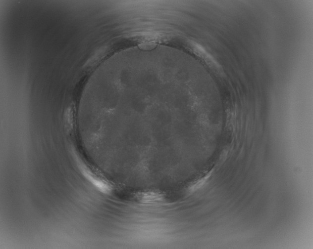 X0000074000165200609061033