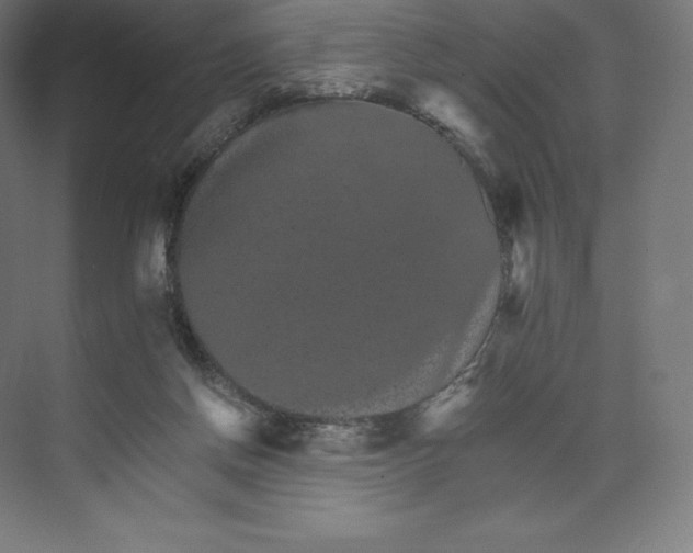 X0000074000166200609061033