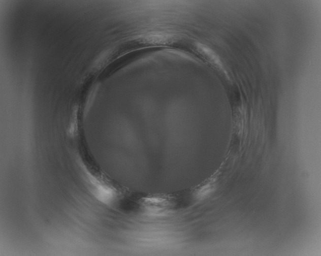 X0000074000167200609061033