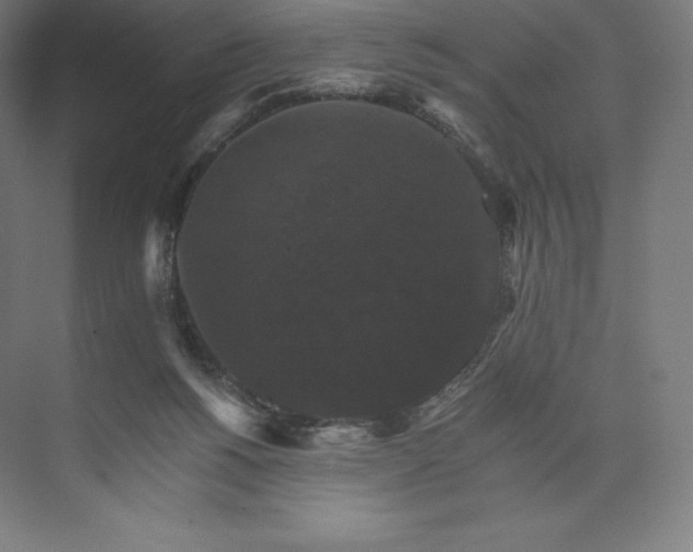 X0000074000168200609061033