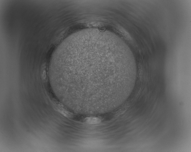 X0000074000169200609061033