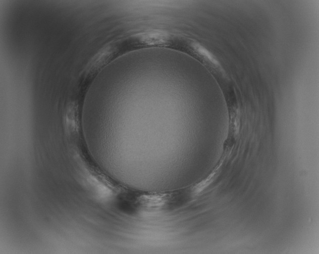 X0000074000170200609061033