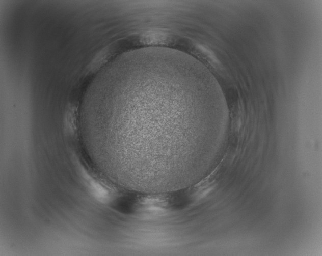 X0000074000171200609061033