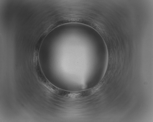 X0000074000172200609061033