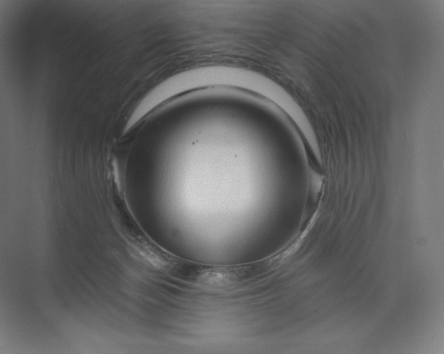 X0000074000174200609061033