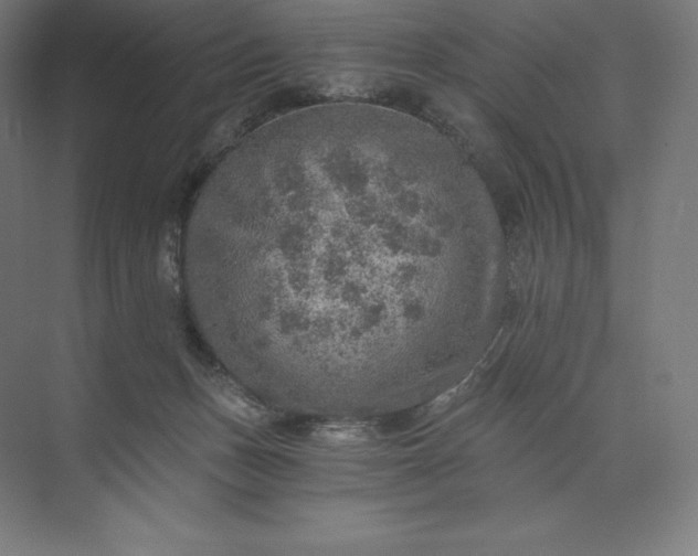 X0000074000175200609061033