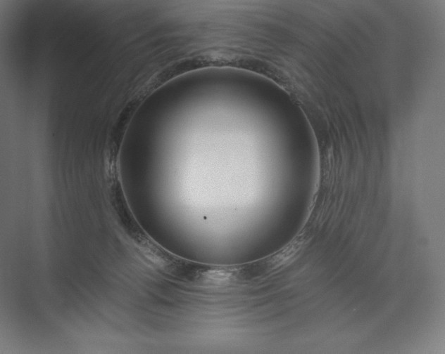 X0000074000176200609061033