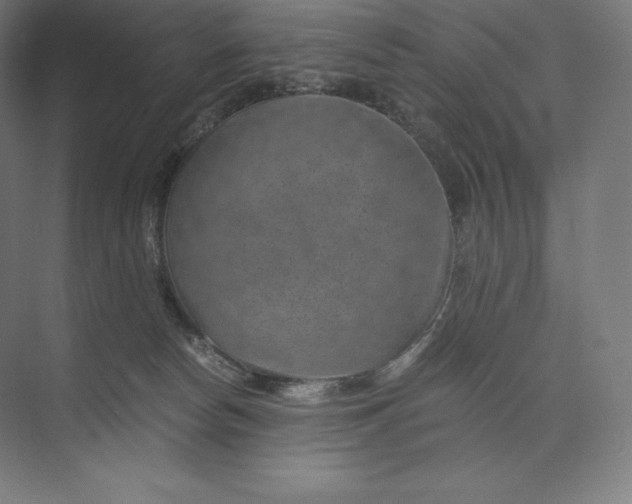 X0000074000178200609061033