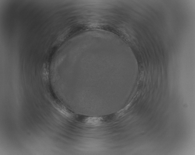 X0000074000179200609061033