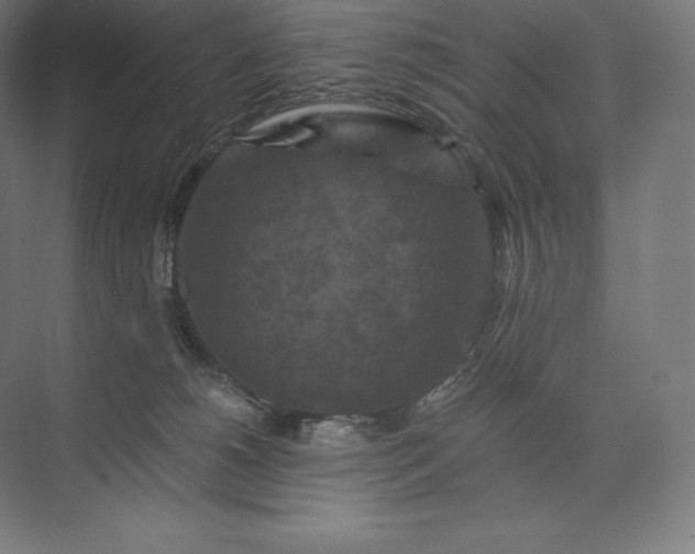 X0000074000180200609061033