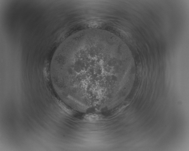 X0000074000181200609061033