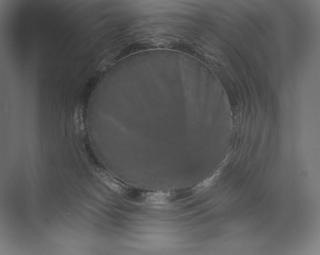 X0000074000182200609061033