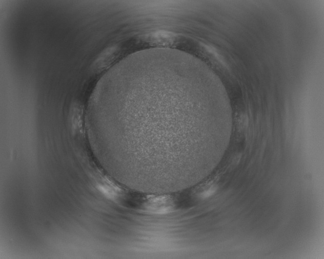 X0000074000185200609061033