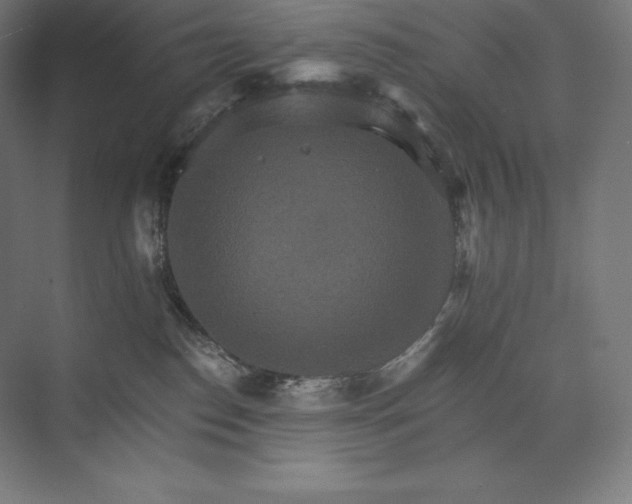 X0000074000186200609061033