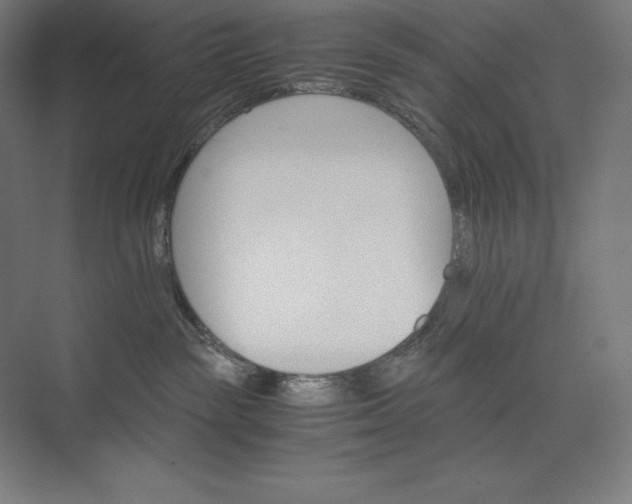 X0000074000189200609061033