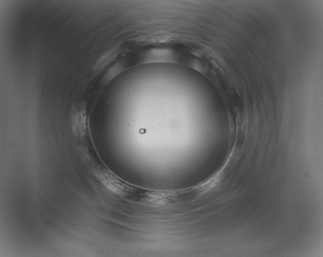 X0000074000190200609061033