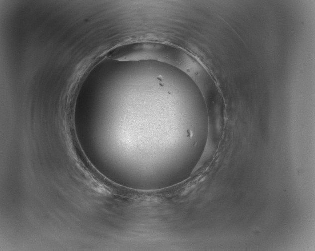 X0000074000193200609061032