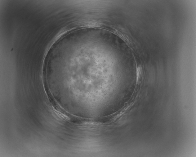 X0000074000195200609061032