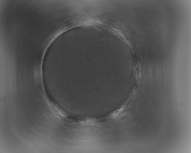 X0000074000196200609061032