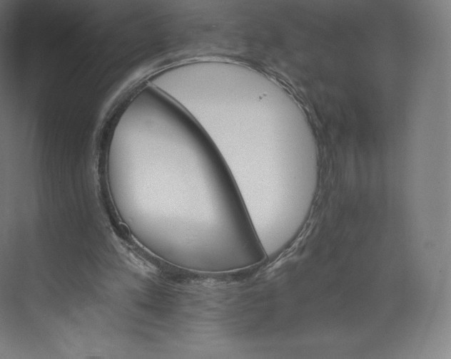 X0000074000197200609061032