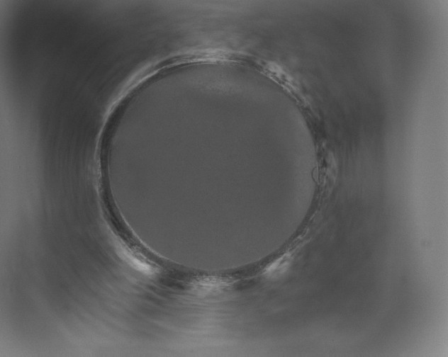 X0000074000198200609061032