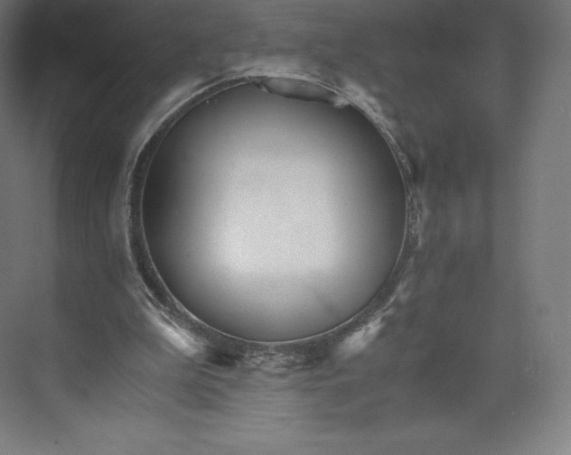 X0000074000199200609061032