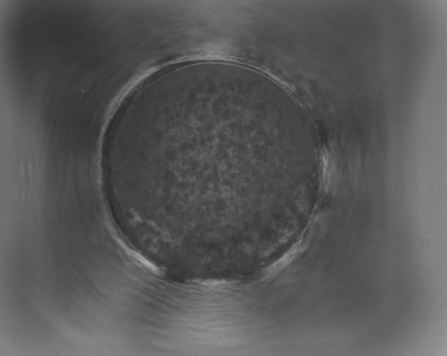 X0000074000200200609061032