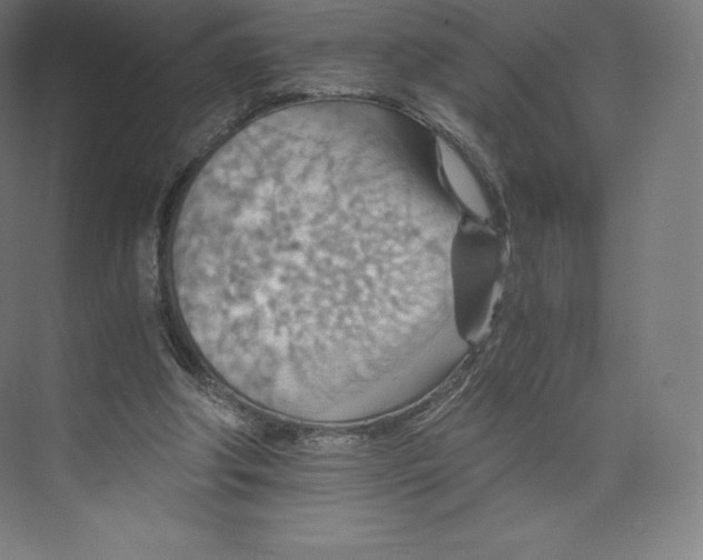 X0000074000202200609061032