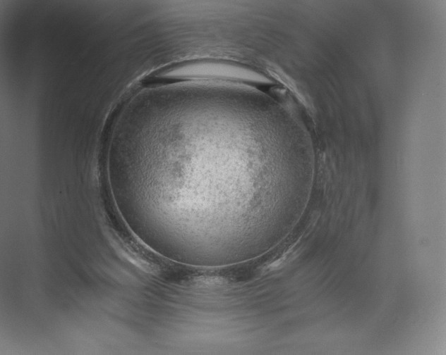 X0000074000203200609061032