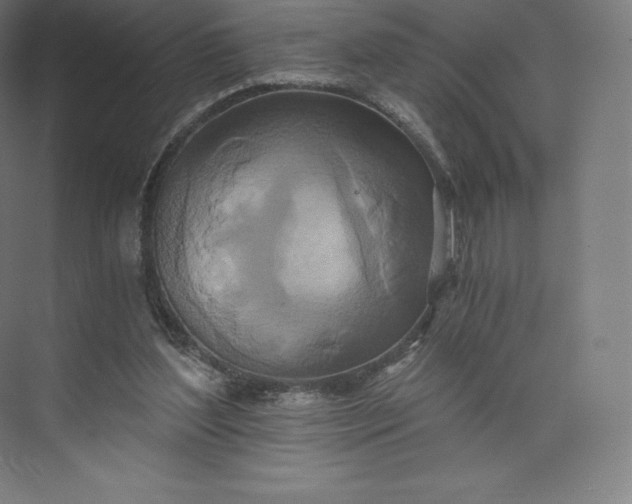 X0000074000204200609061032