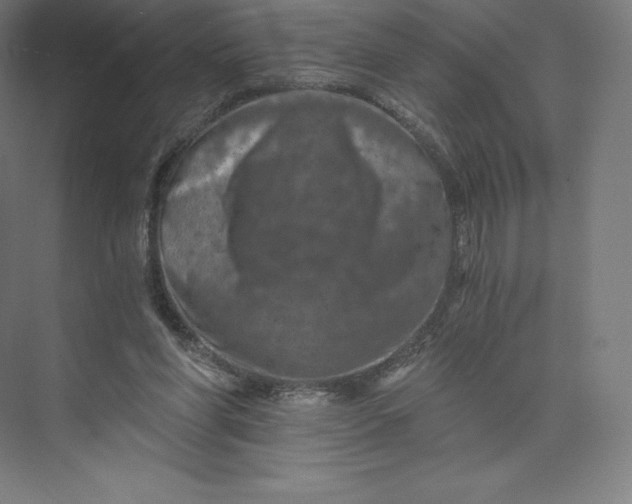 X0000074000206200609061032