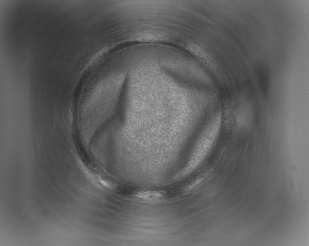 X0000074000208200609061032