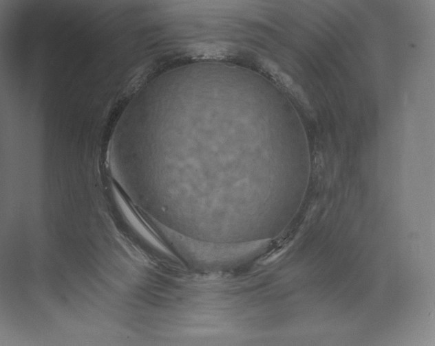 X0000074000209200609061032