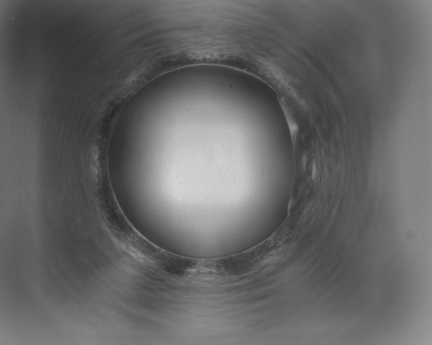 X0000074000211200609061032