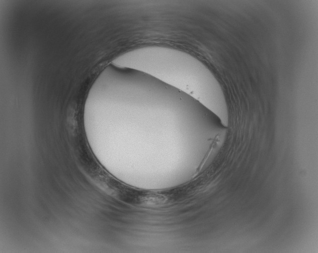 X0000074000215200609061032