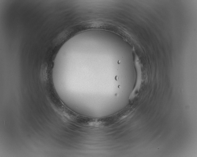 X0000074000216200609061032