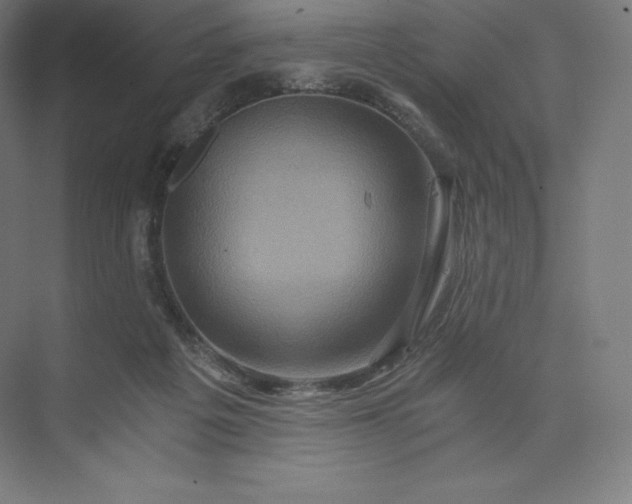 X0000074000217200609061032