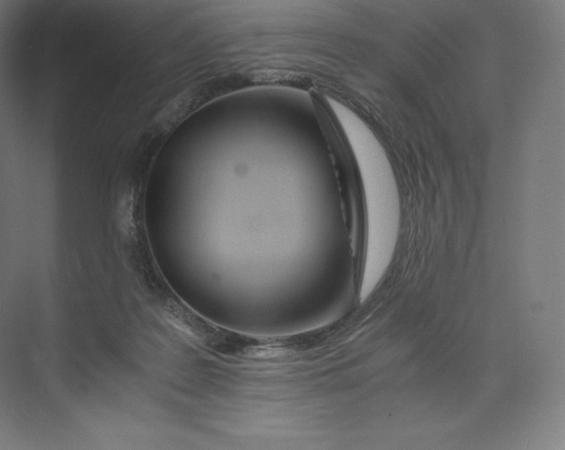 X0000074000219200609061032