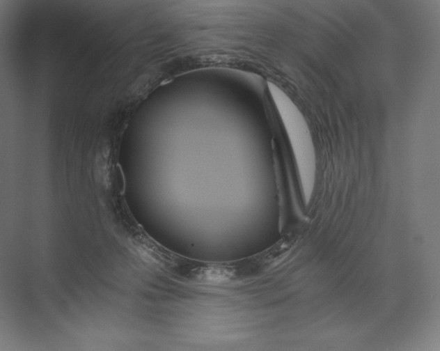 X0000074000223200609061032