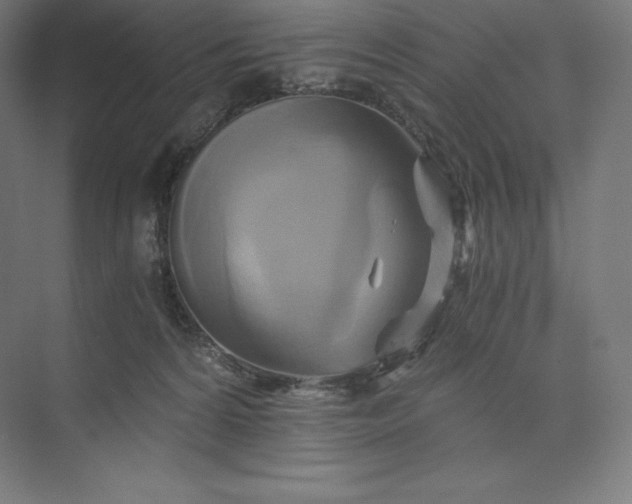 X0000074000224200609061032