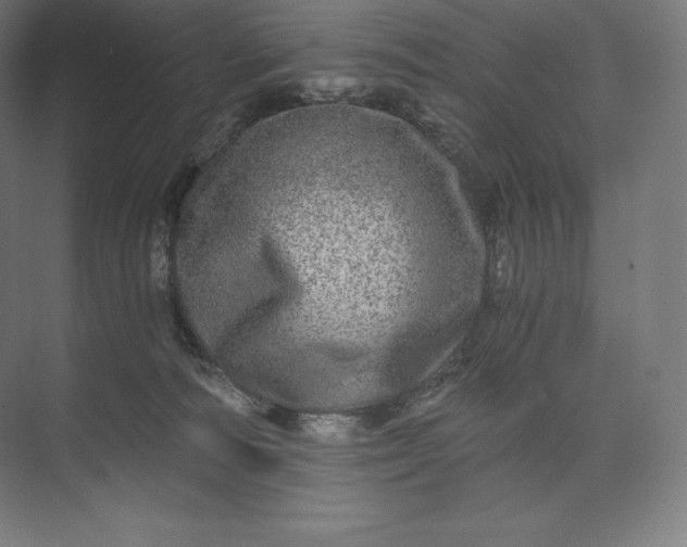 X0000074000226200609061032