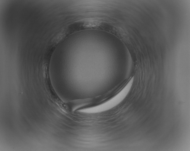 X0000074000227200609061032