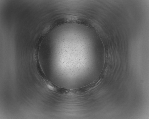 X0000074000228200609061032